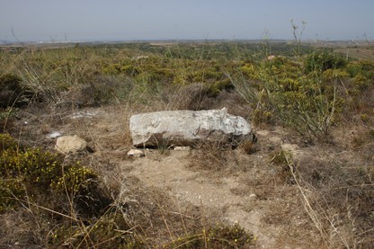 _MG_9156.JPG