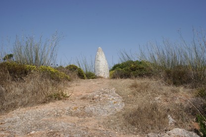 _MG_9162.JPG
