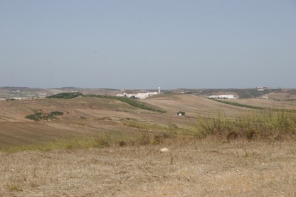_MG_9175.JPG